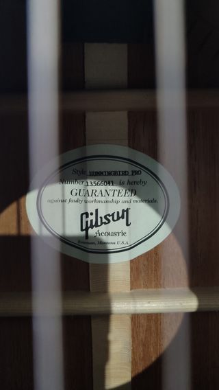 Gibson hummingbird pro 