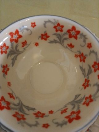 Set te Tazza Porcellana - Rosso|Bianco