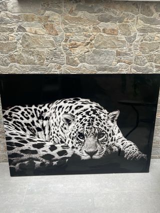 Cuadro jaguar blanco y negro