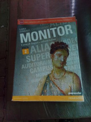 Monitor 2