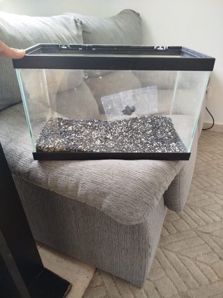 Acuario 20L -pecera usada