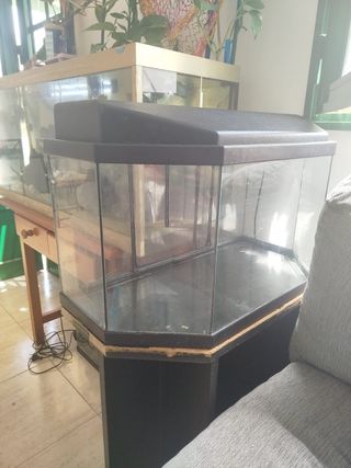 Acuario 20L -pecera usada