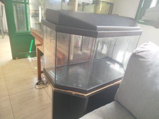 Acuario 20L -pecera usada