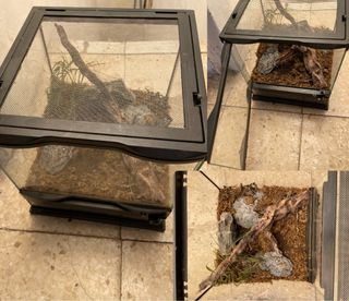 Terrario de cristal para reptiles