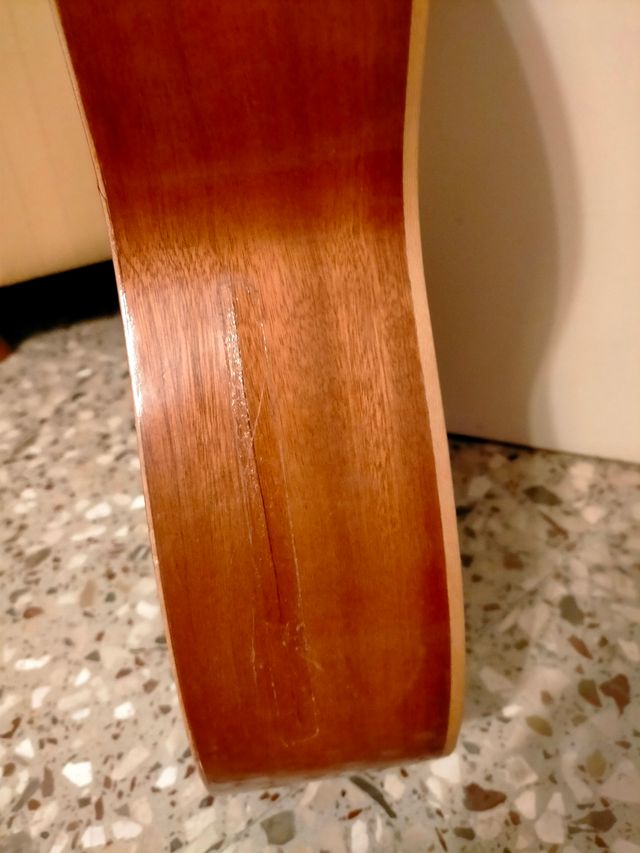 Guitarra clásica española con funda