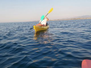 Kayak Triumph 13 Perception