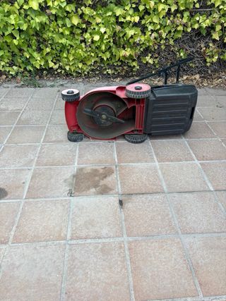 Cortacésped eléctrico