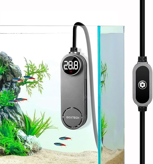 Calentador Acuario Boxtech 50W