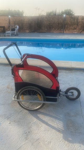Carrito bici remolque niño