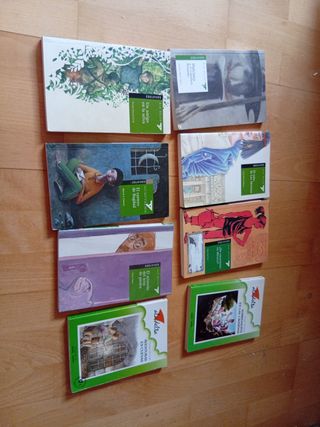 Lote libros lectura Edelvives, A partir de 10 años