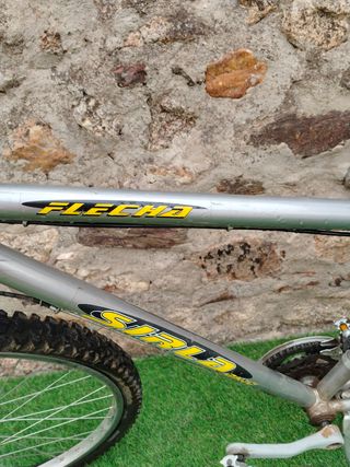 Bicicleta de montaña