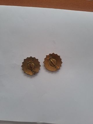 Insignias Adorador Nocturno