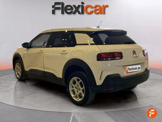 Citroën C4 Cactus BlueHDi 100 S&S Live