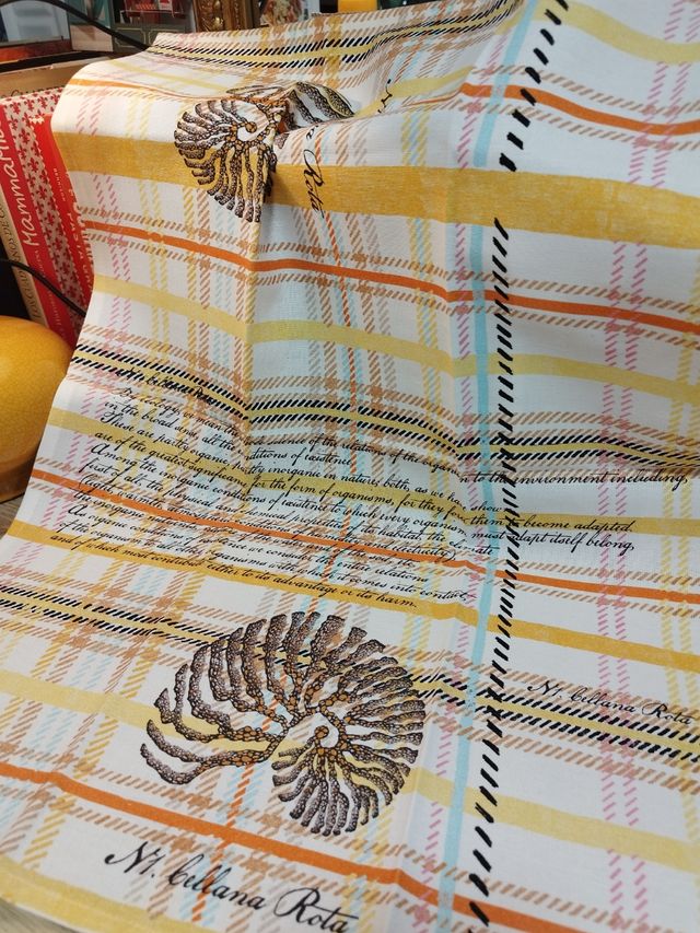 Trapo cocina Zara: diseño matinero