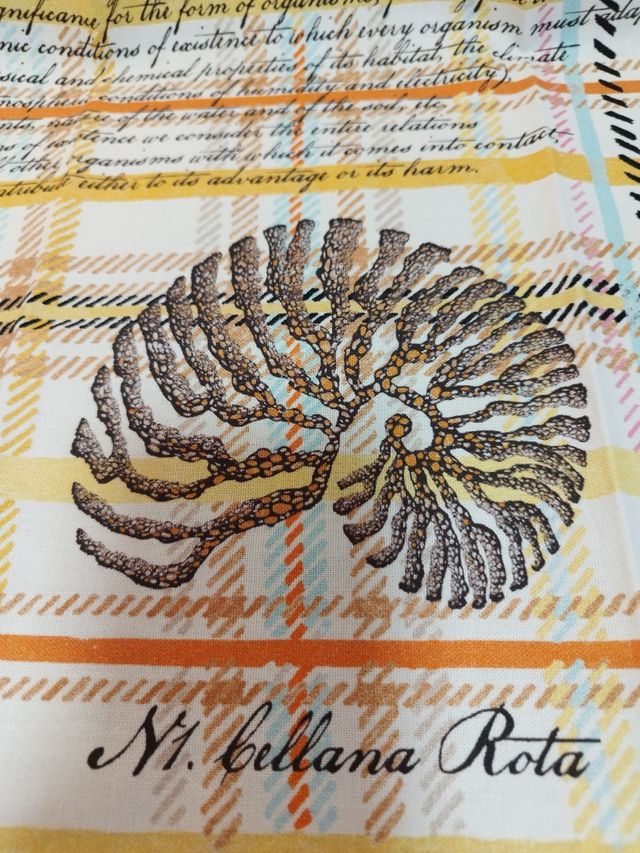 Trapo cocina Zara: diseño matinero