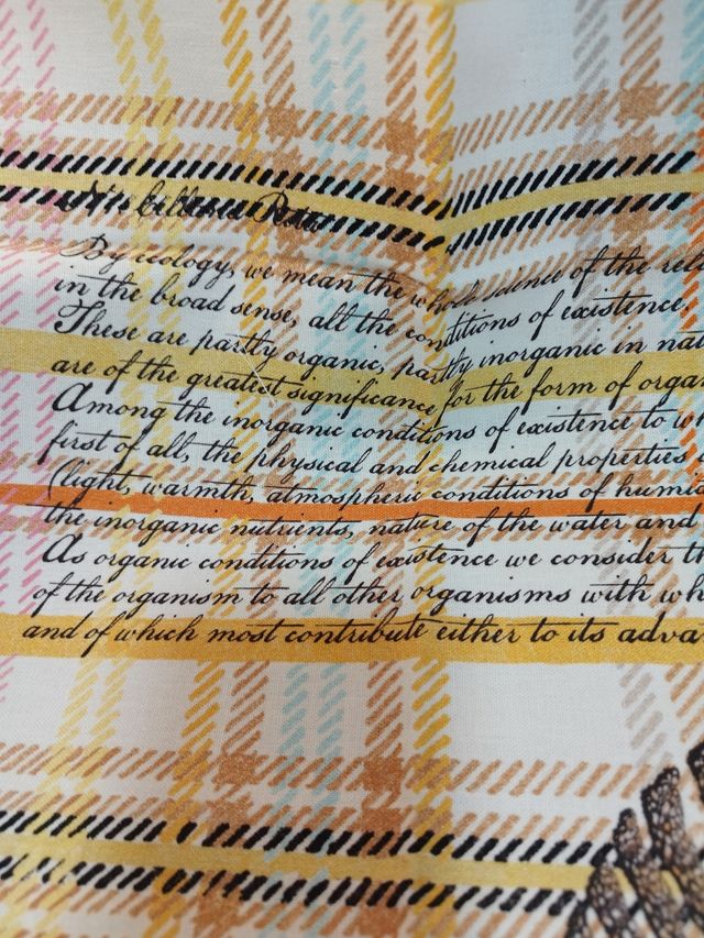 Trapo cocina Zara: diseño matinero