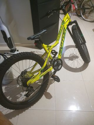 Bicicleta raptor