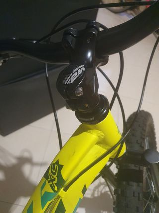 Bicicleta raptor