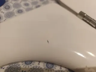 Asiento WC Roca Meridian Pergamon