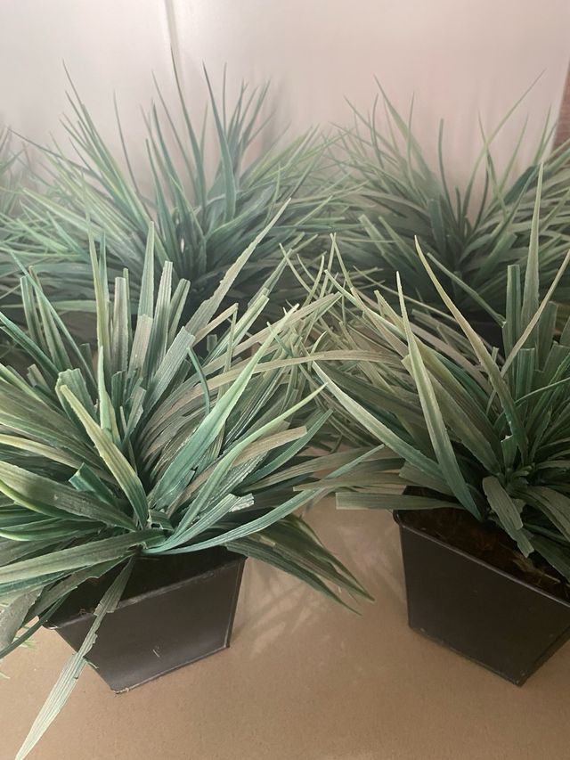 5 Plantas Artificiales - Decoración Hogar