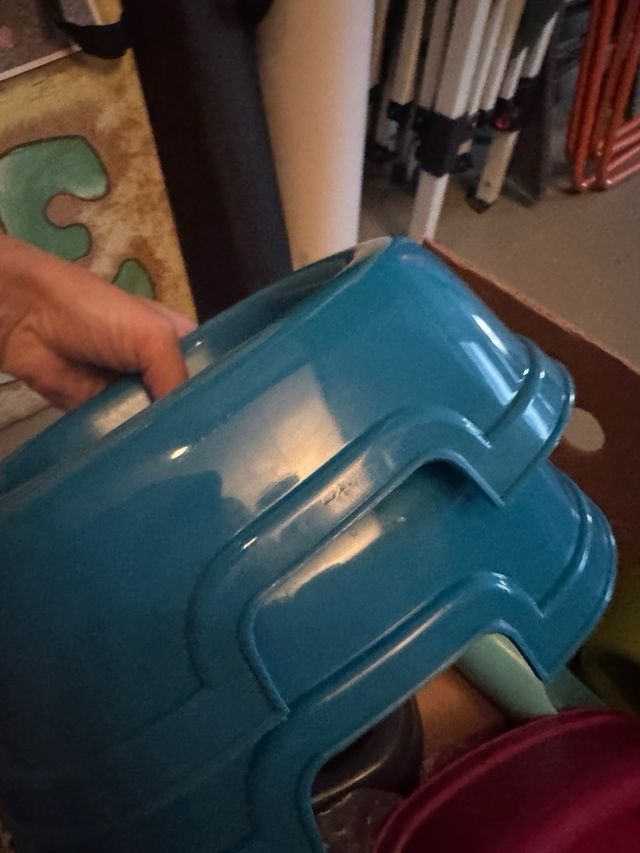 ciotole a scelta  una costa € 4