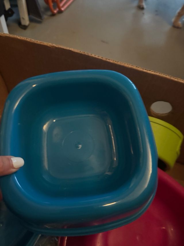 ciotole a scelta  una costa € 4