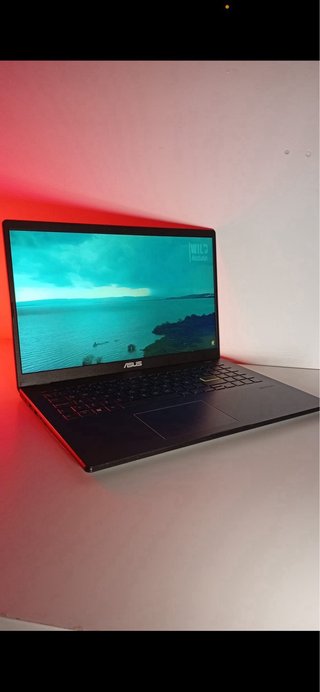 Portátil ASUS Vivobook Go 15