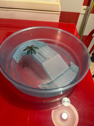 Pecera Tortuga - Acuario Transparente