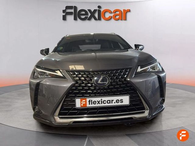 Lexus UX 2.0 250h Business