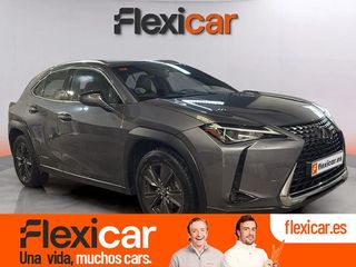 Lexus UX 2.0 250h Business