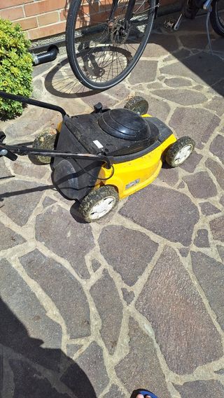 Tagliaerba elettrico usato