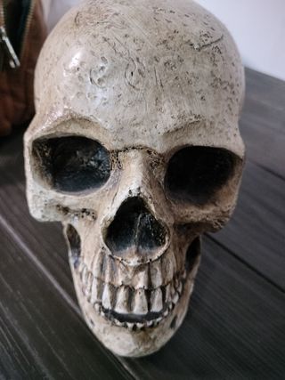 Calavera decorativa