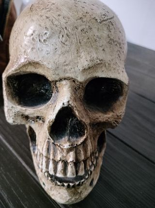 Calavera decorativa