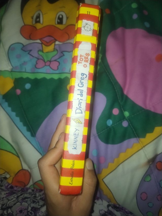 Diari del Greg 11. Tot o res