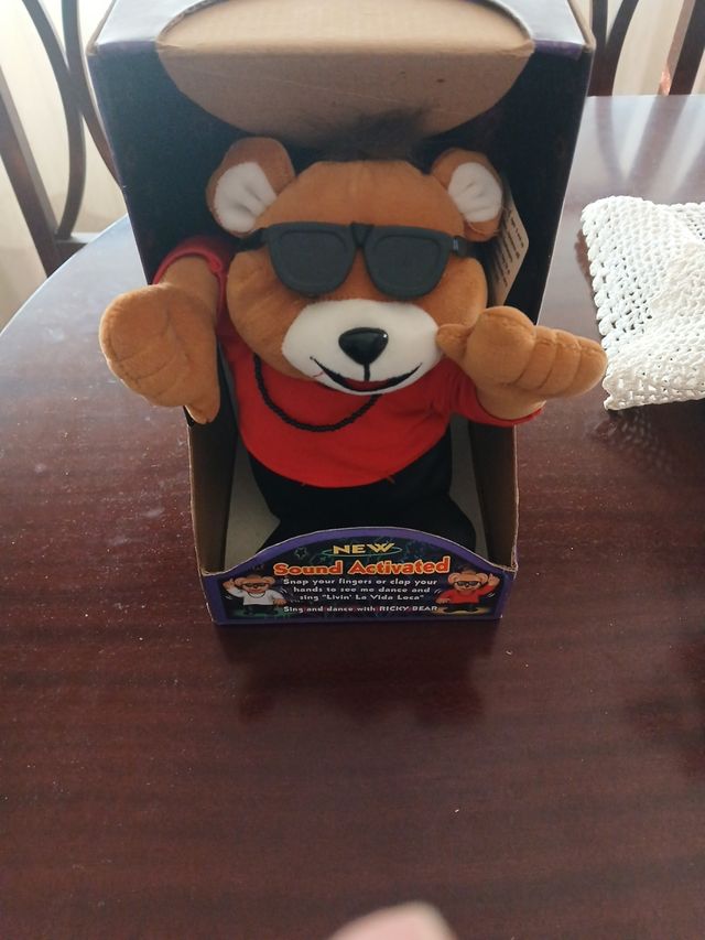 Oso Ricky Bear - Cantante