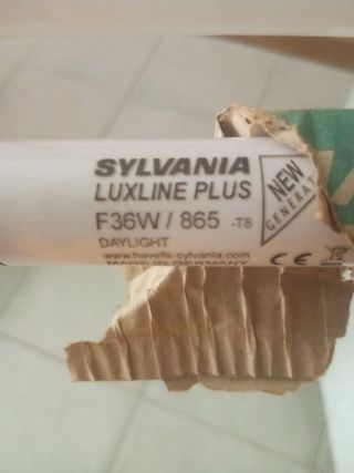 Fluorescente Sylvania Luxline Plus F36W