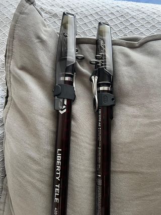 Cañas Daiwa Liberty Telescopicas 420/33 