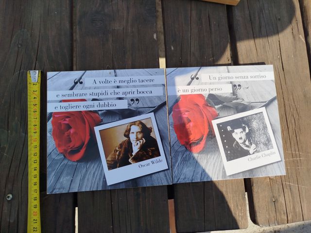 Coppia Quadretti citazioni Chaplin Wilde