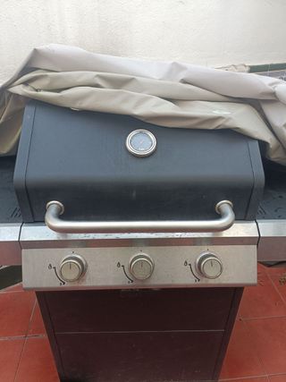 Barbacoa gas 3 fuegos con funda