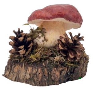 Figuras de setas Boletus Pinicola