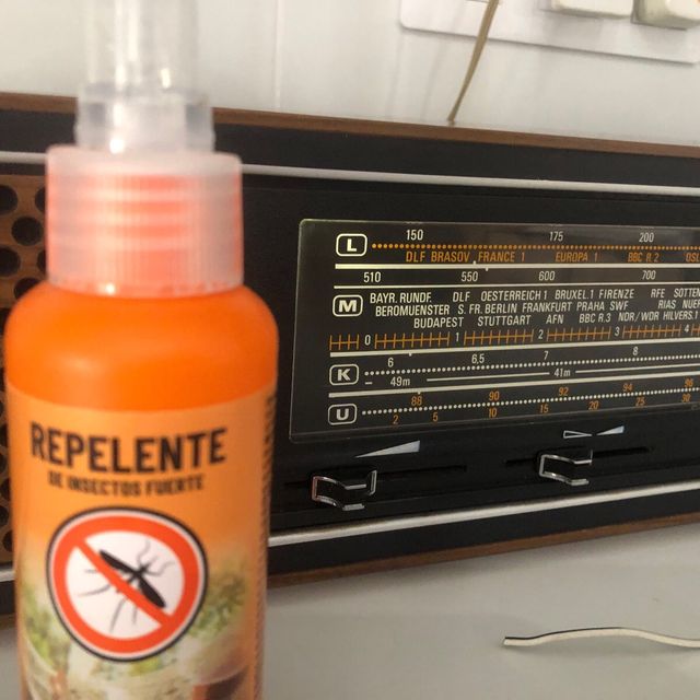 Radio Grundig Vintage