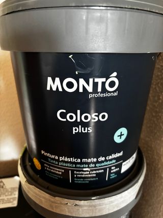 Pintura Montó Coloso Plus 2 botes