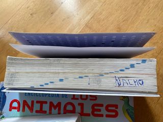 Diccionario primaria lengua española.