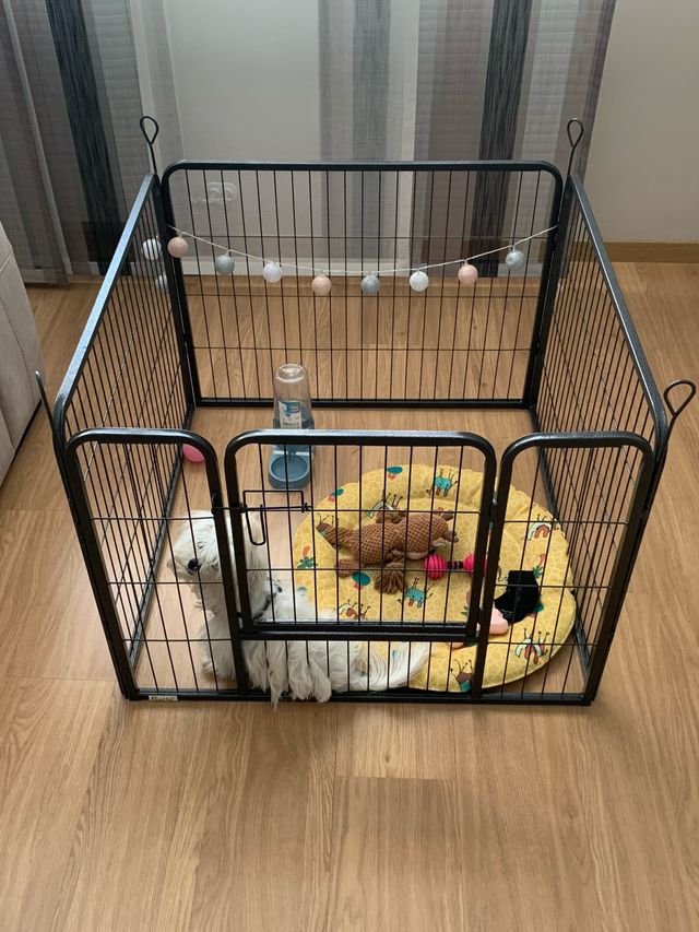 Cercado metálico para perros pequeños