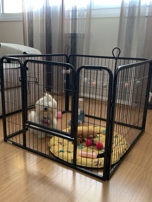 Cercado metálico para perros pequeños