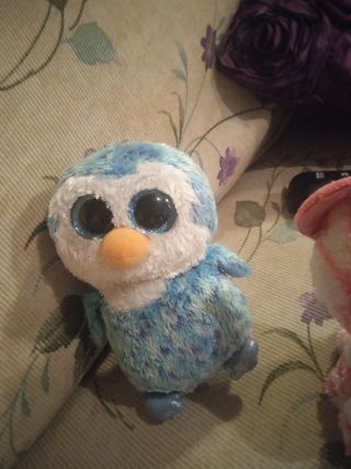 Gato negro TY Beanie Boo