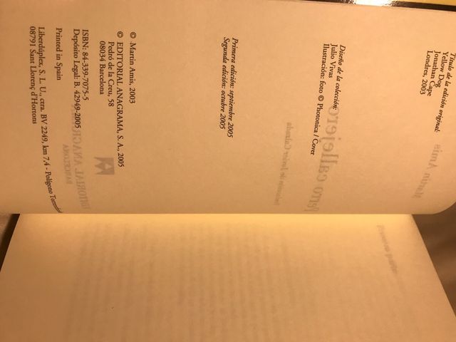 Perro callejero (Panorama de narrativas) (Spani...