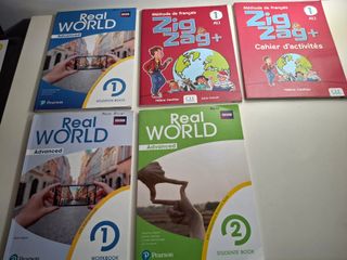 Lote de Libros Ingles + Frances