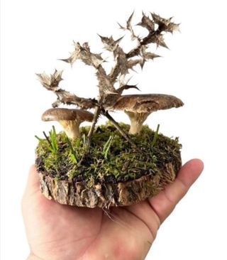 Figura setas cardo - Decoración