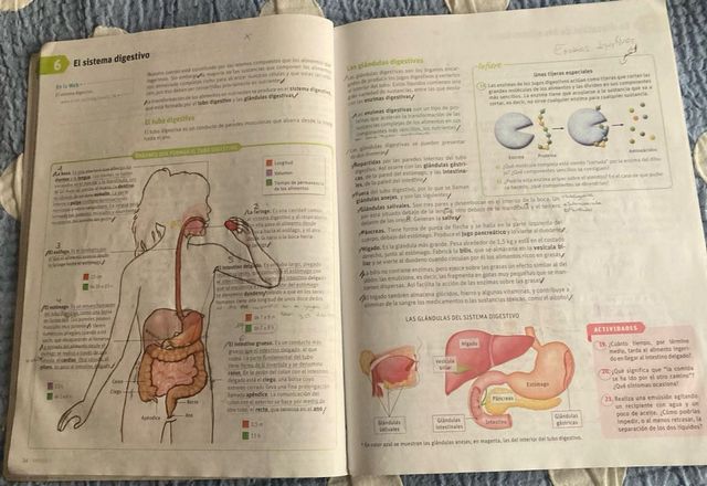 Biología y geología, Arce. 3 ESO. Savia